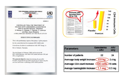 A composite image displaying results from a controlled trial on Ganoderma lucidum for HIV/AIDS treatment. On the left is an executive summary document from the ZERI Regional Office for Africa (UNDP/UNCPS). The top right graphic highlights an increase in CD4 immune cells from 70 to 136 with a 'Premium' treatment, compared to placebo. The bottom right table shows 'Ganoderma + ARV' group results compared to 'ARV only' for parameters including body weight increase (4.8 kg vs 2.4 kg), CD4 count increase (136 cel