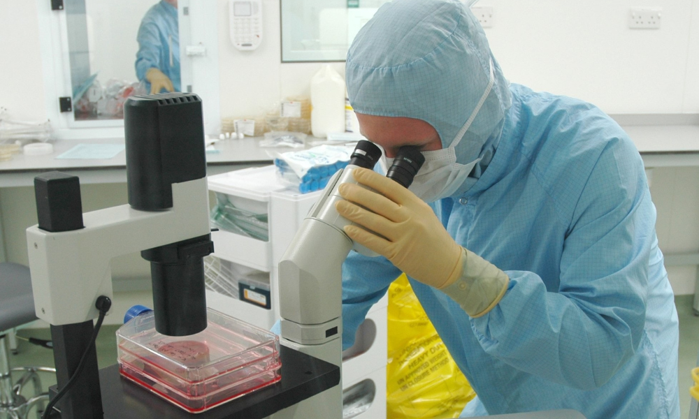 A person in a light blue cleanroom suit, complete with hood, mask, and yellow gloves, looks through the eyepieces of a large white microscope. A clear, multi-layered cell culture container with red liquid is on the microscope's stage. The background shows a sterile laboratory environment with white counters and another person in cleanroom attire.