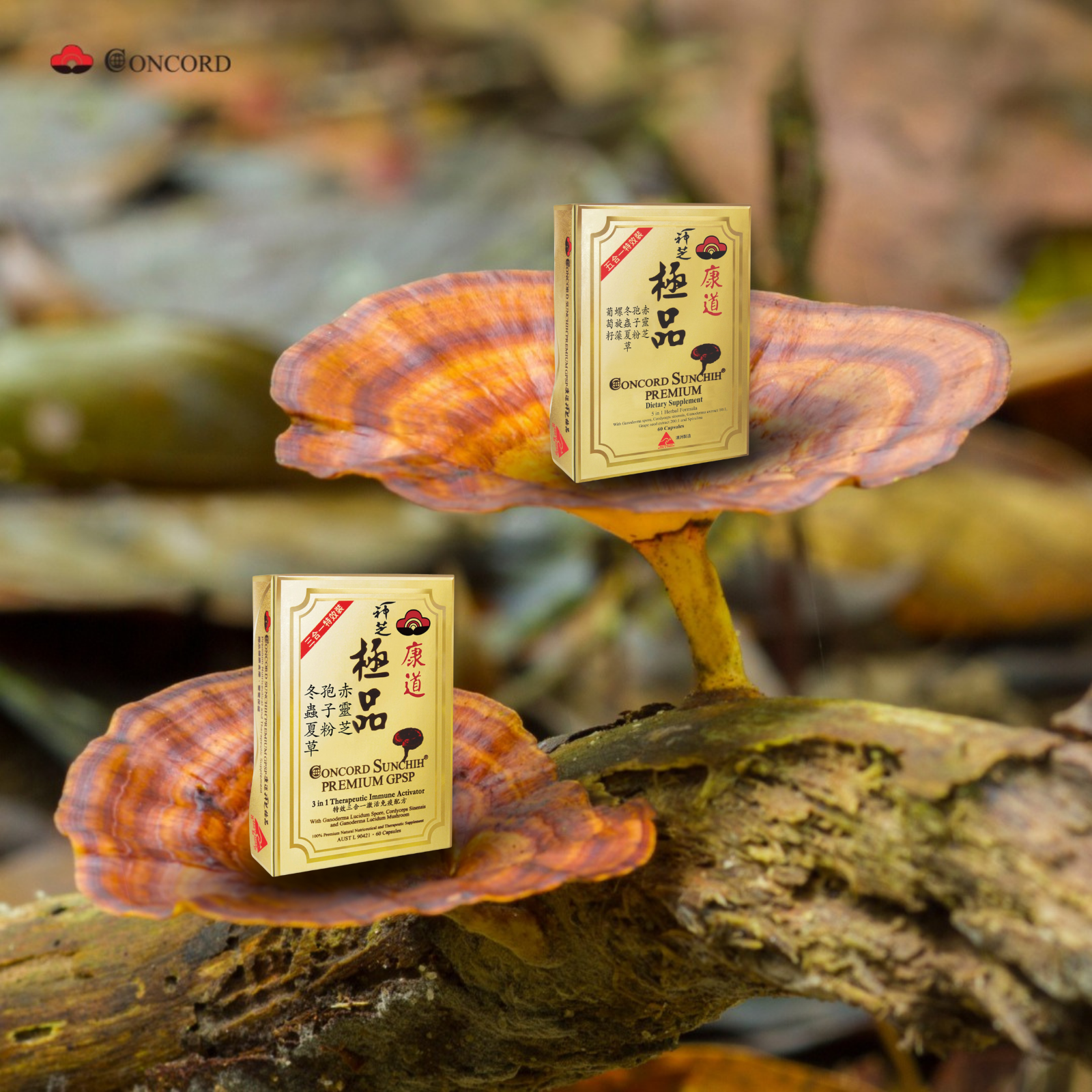 Concord Premium GPSP on a tree fungus with a natural background