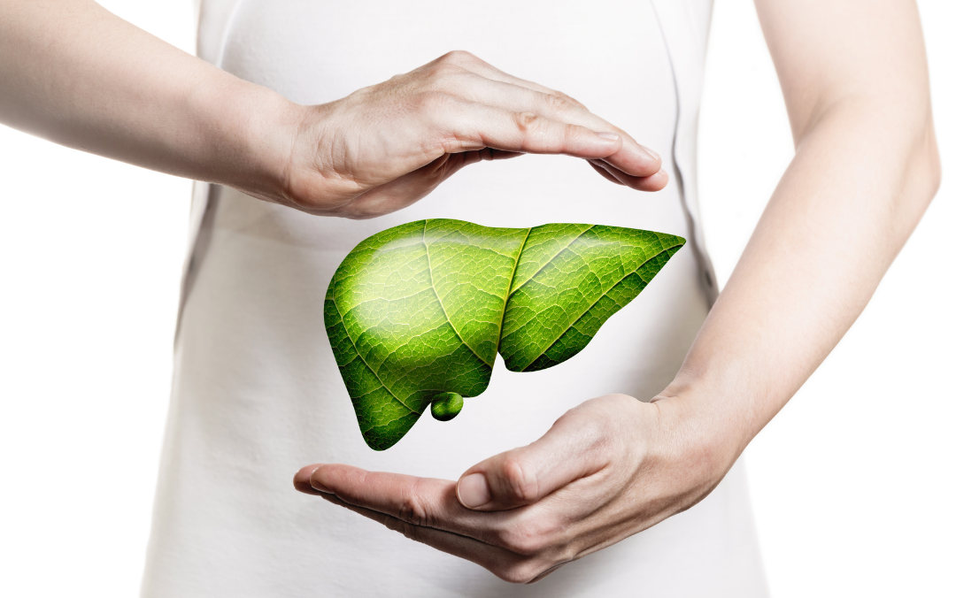 A photo showing a leaf that is designed to look like a liver.