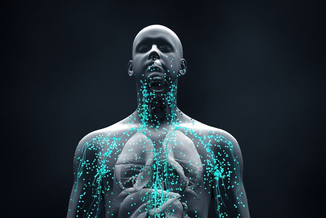Human body showing cells and other organs.